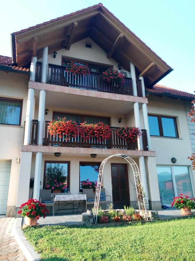 Dolenjska Vila Zuzemberk Exteriör bild