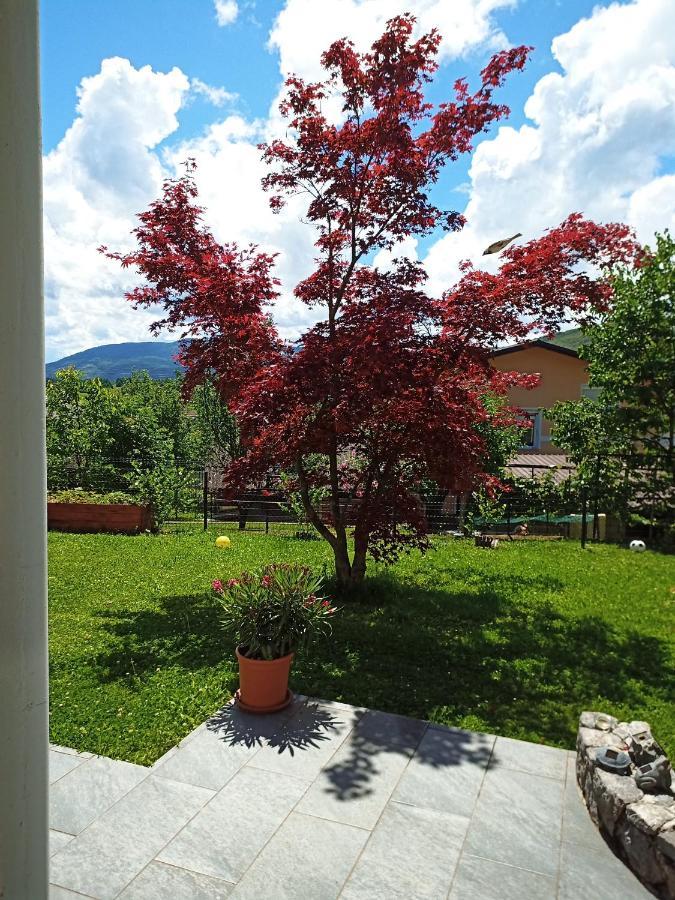 Dolenjska Vila Zuzemberk Exteriör bild