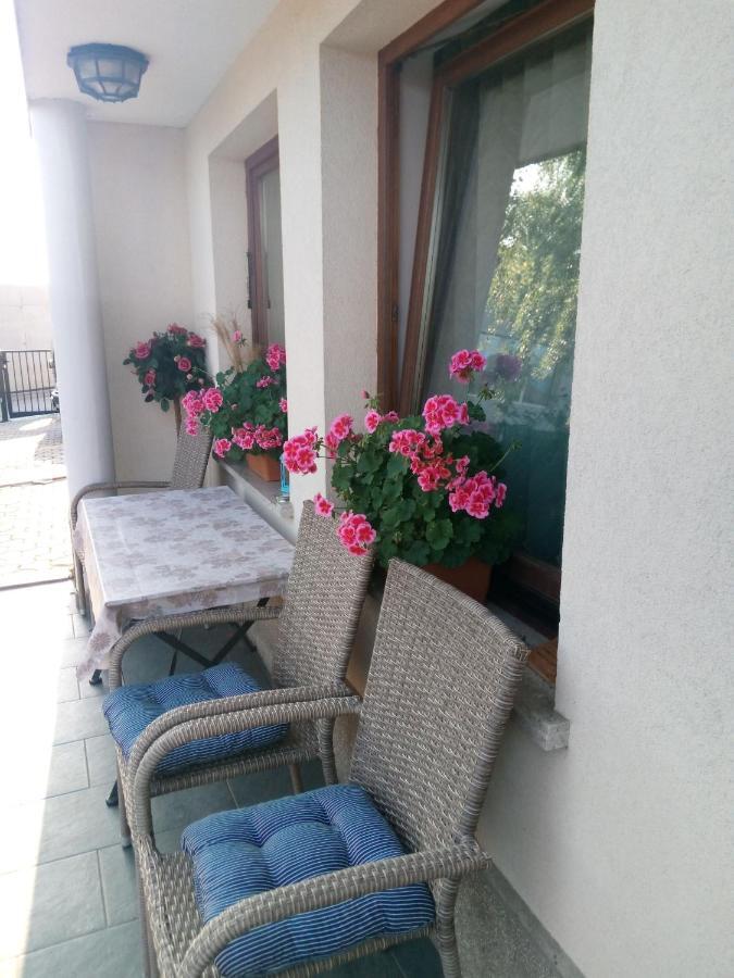 Dolenjska Vila Zuzemberk Exteriör bild